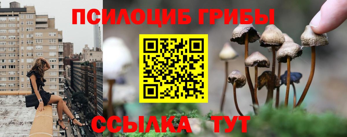 Керчь  Галлюциногенные грибы мухоморы  Вход с VPN 